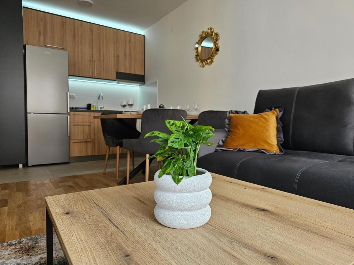Sun&Moon Apartments Нови Сад Екстериор снимка